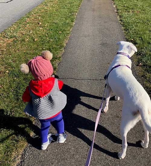 Toddler walking on sidewalk with dog next to her.