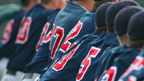 A view of the numbers on the backs of a team of baseball players all sitting on a bench.
